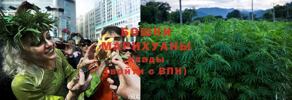 крисы Нягань